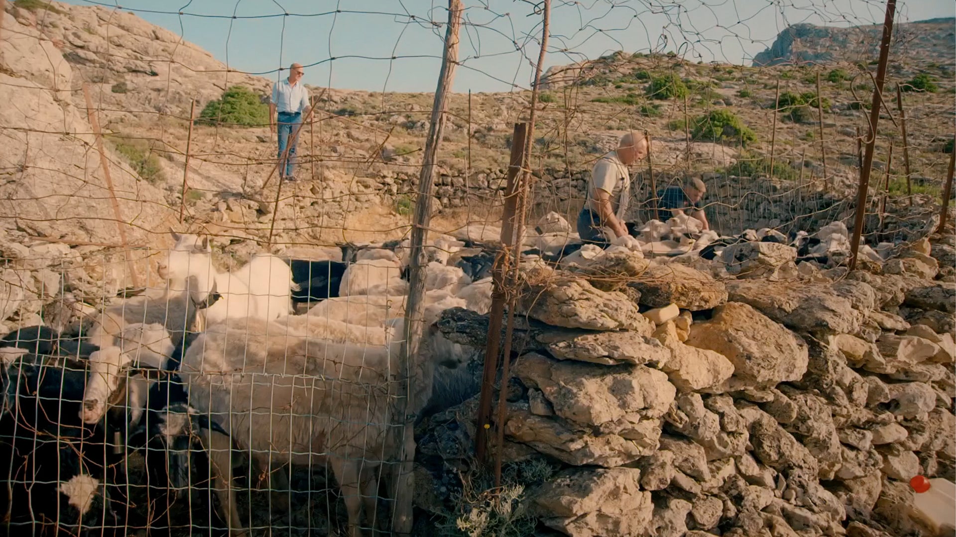 Searching For Italy: Shepherding on Mount Corrasi