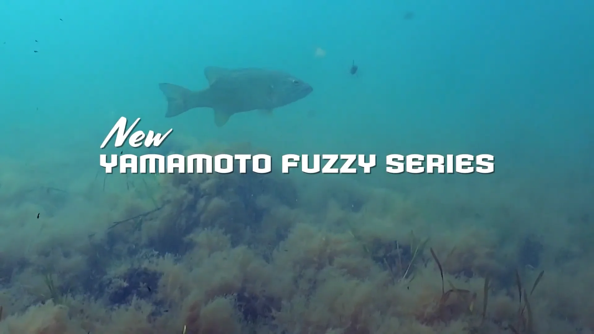 Yamamoto Baits Fuzzy Nuki - 2.5 Inch — Discount Tackle