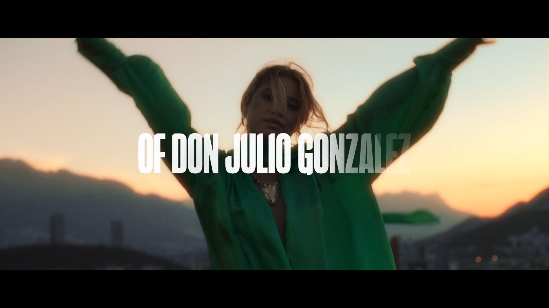 DON JULIO - POR AMOR