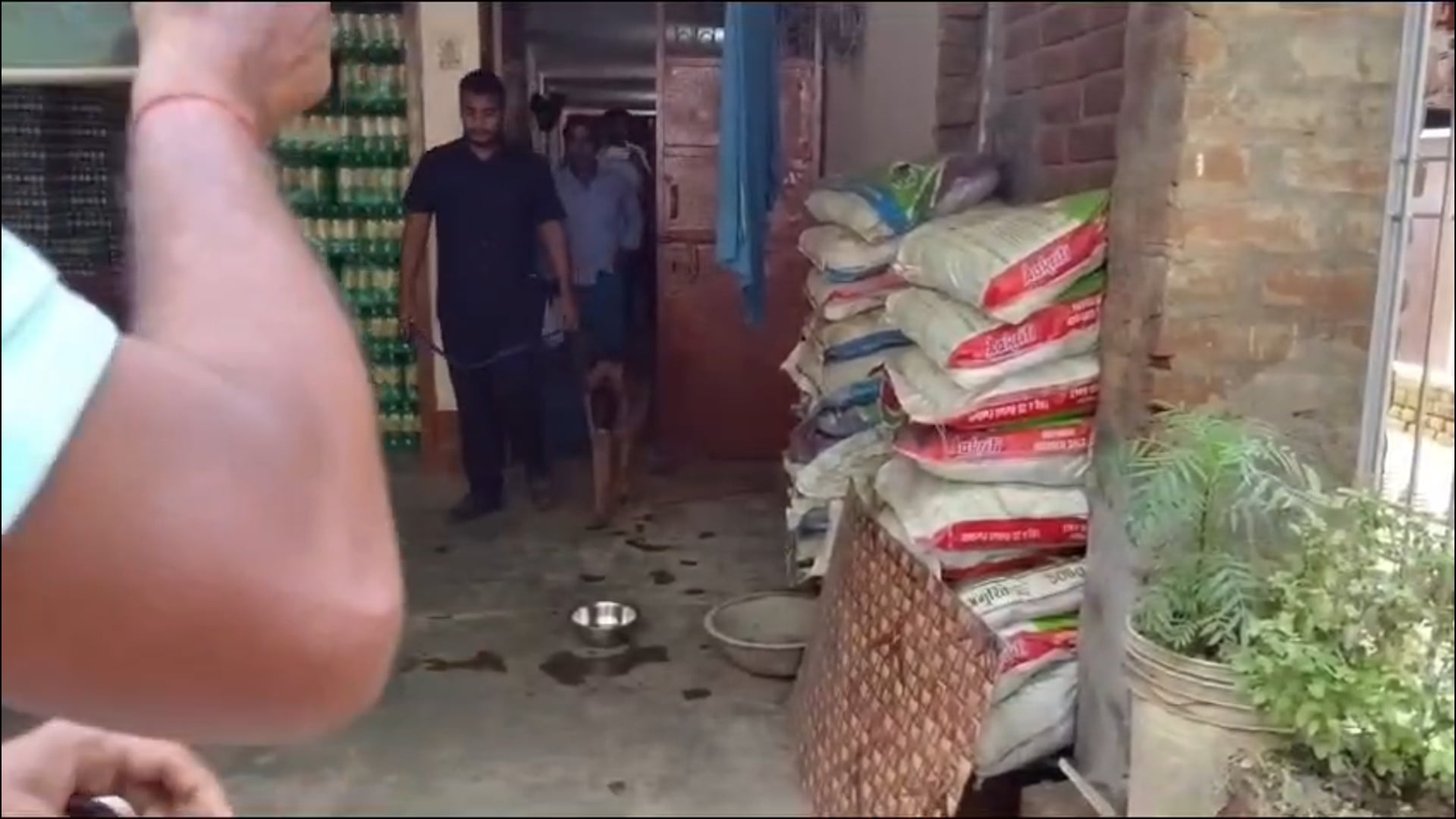 नशे के साम्राज्य पर अमरपुर पुलिस का महाप्रहार: 20 दिनों में दो बड़ी कार्रवाई, तस्करों के बीच मचा हड़कंप
