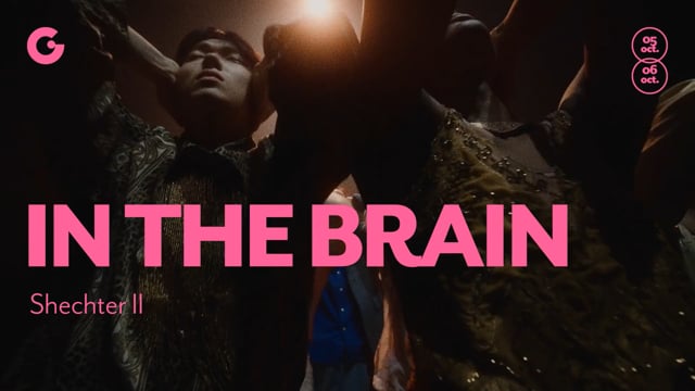 TEASER - IN THE BRAIN, Shechter II
