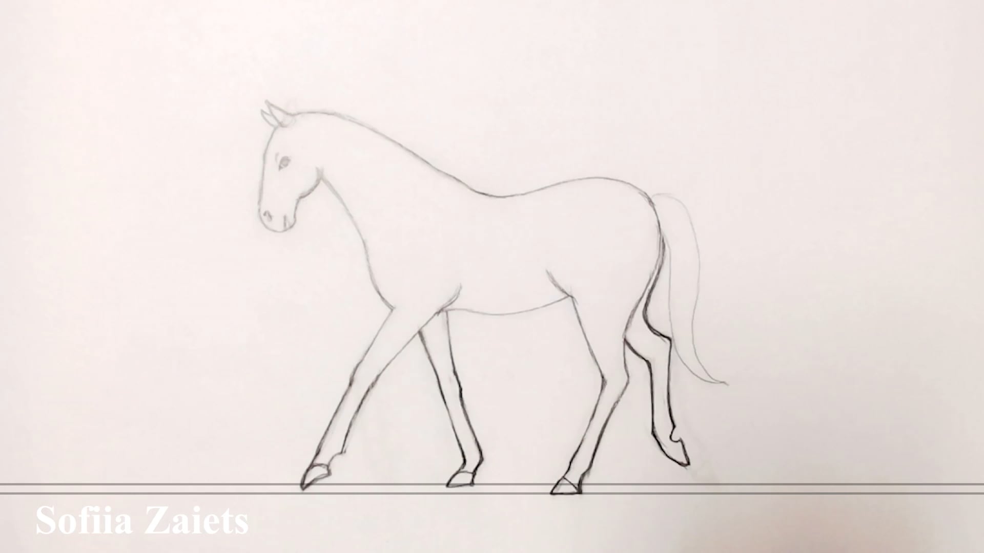2209429 SOFIA ZAIETS_AnimationSofiaZaiets