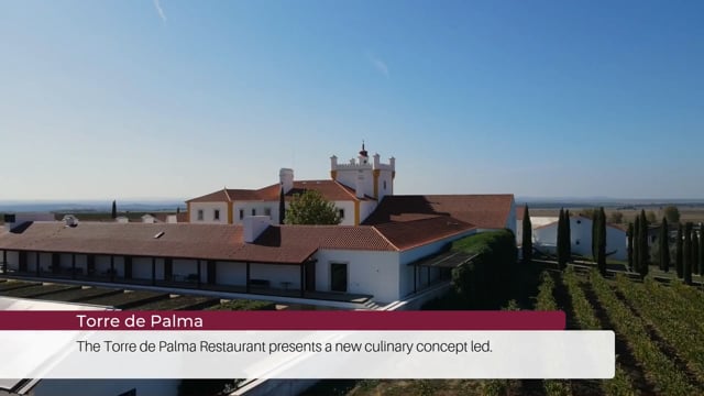 EP 91 | Wine Tourism News