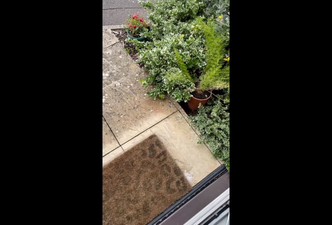 Video 1: 