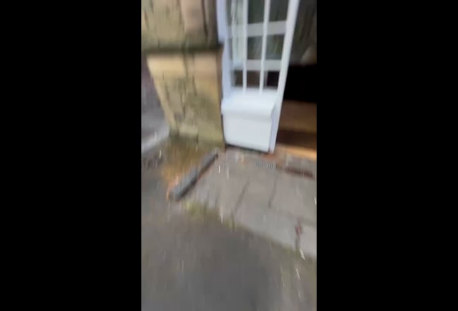 Video 1: 