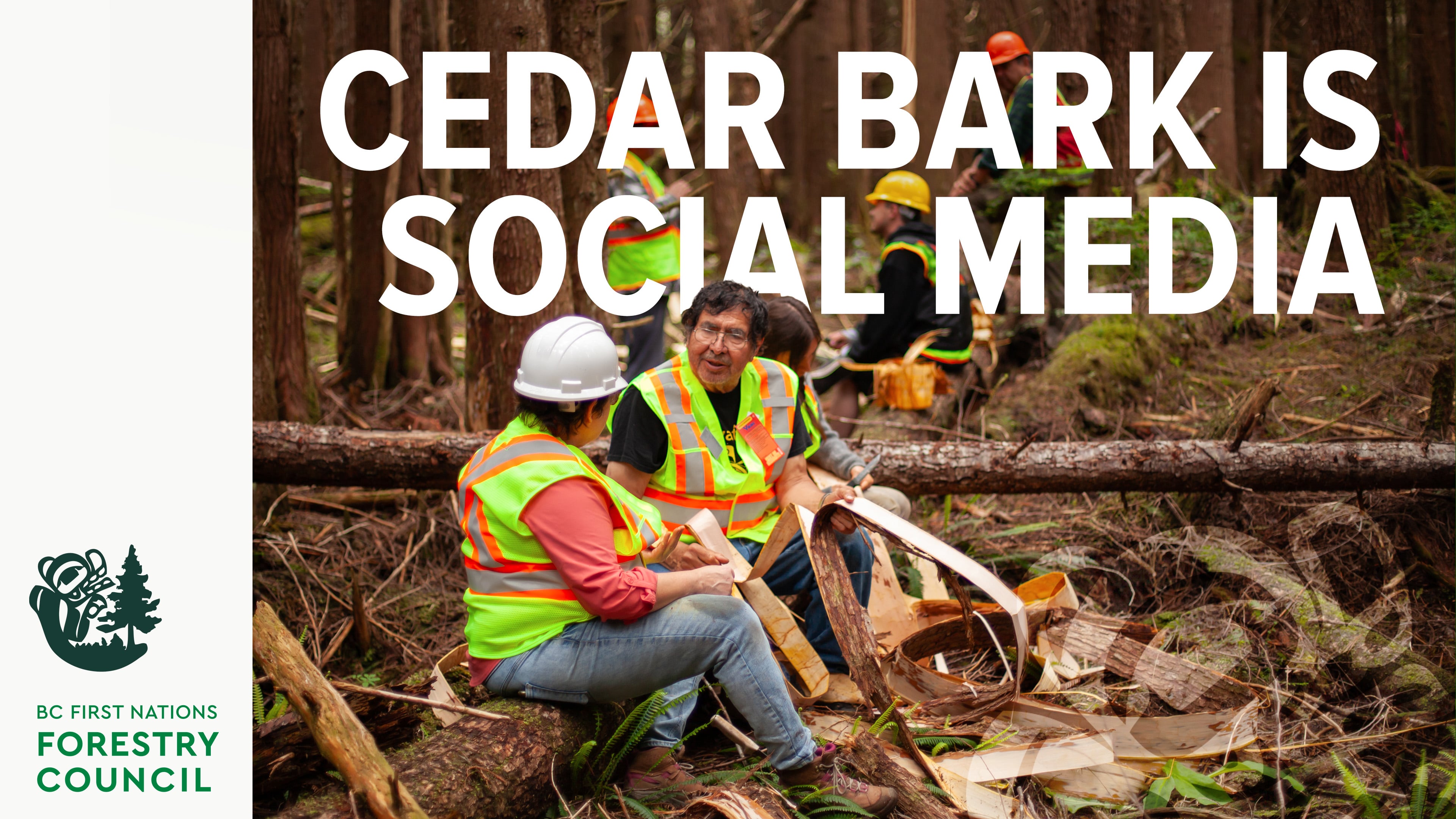 Cedar Bark Is Social Media | Kwikwasut’inuxw Haxwa’mis First Nation