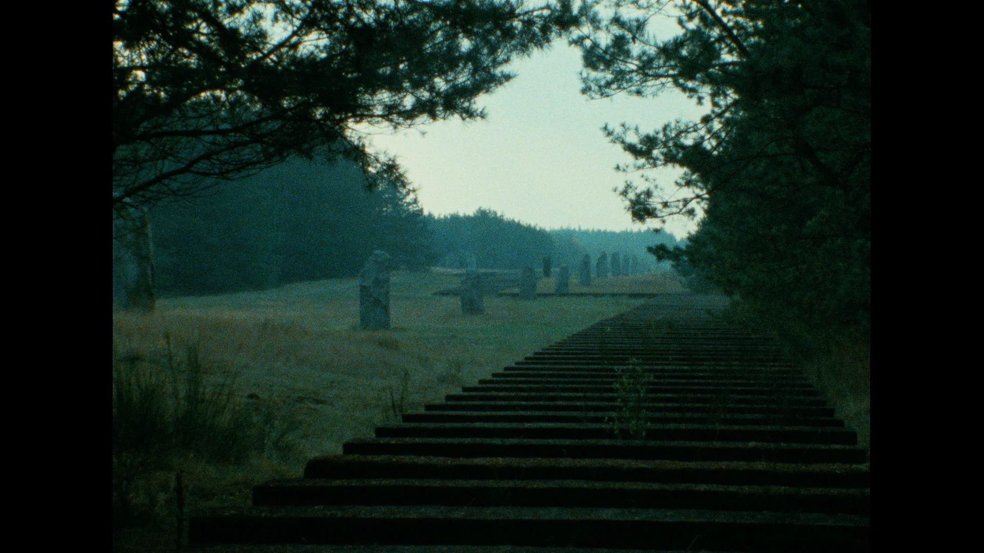 Shoah (1985) | The Criterion Collection