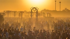 Lollapalooza. Look & Feel (The Archive 2014/1016)