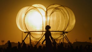 Lollapalooza. Look & Feel (The Archive 2014/1016)