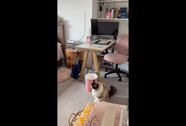 Video 1: 