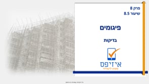 פיגומים | בדיקות