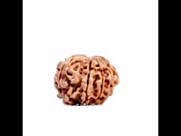 R.8 01.