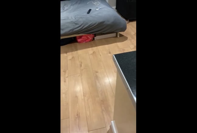 Video 1: 
