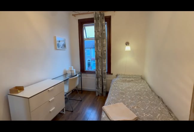 Spacious Plant-forward House  Main Photo