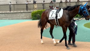 動画サムネイル