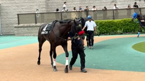 動画サムネイル