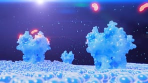 Life Render - Video - 1