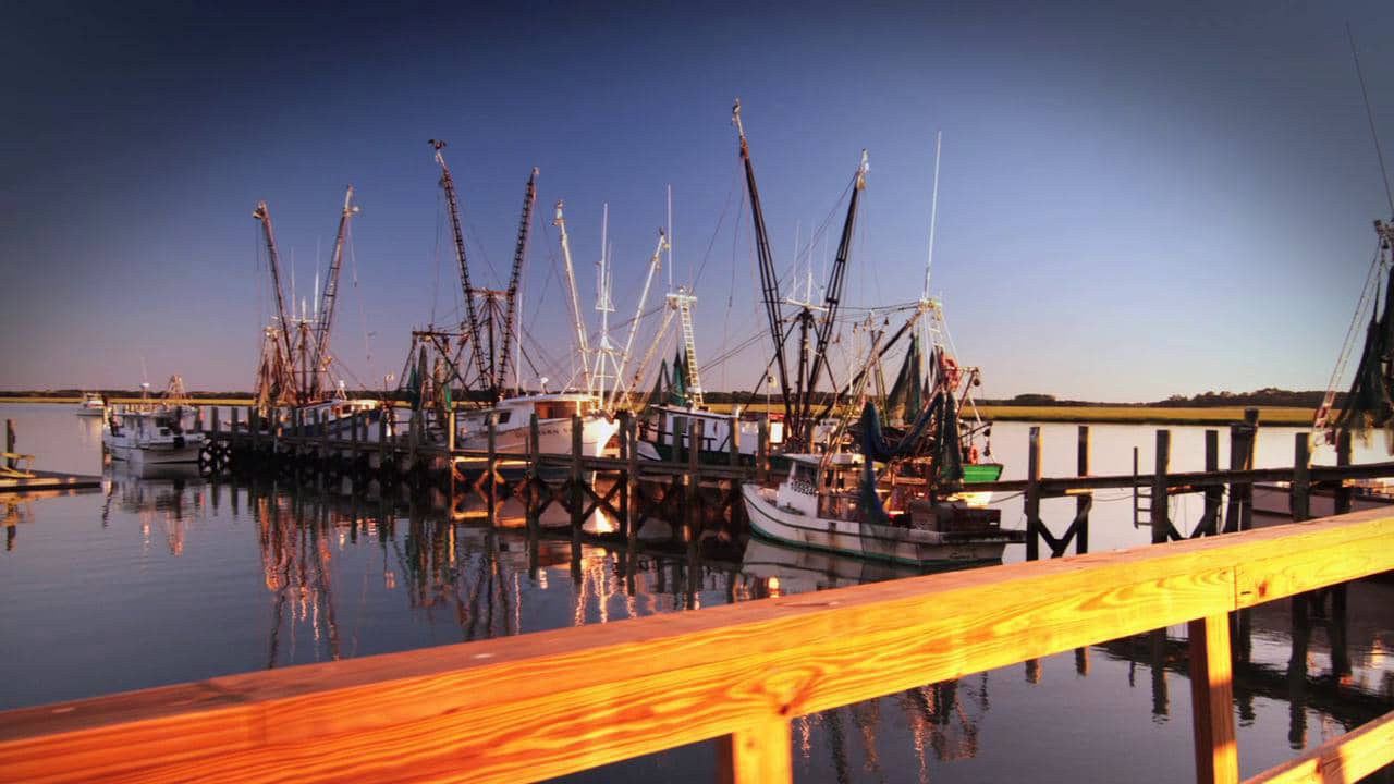 to Beaufort, Port Royal & the Sea Islands of South Carolina on