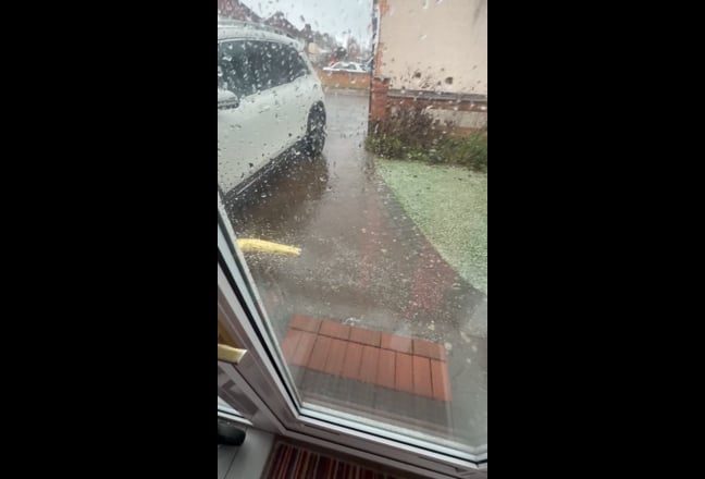Video 1: 