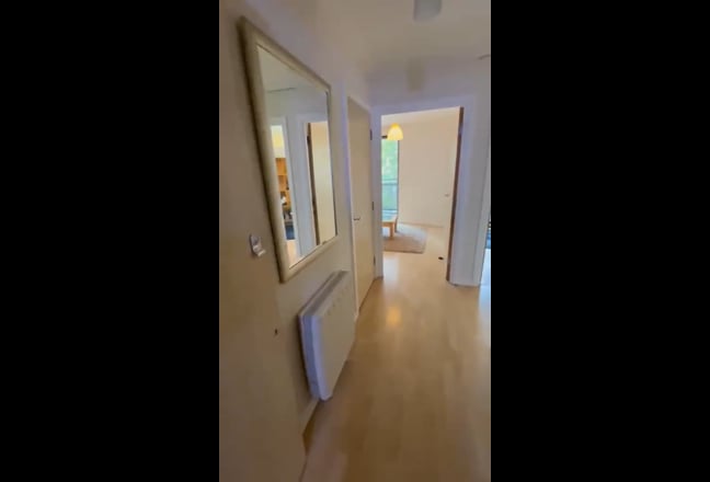 Video 1: 