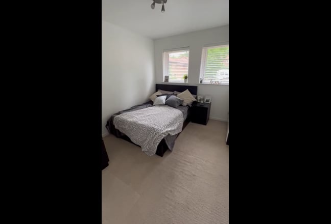 Professional, sociable and friendly home Main Photo
