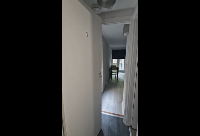 A bright and newly refurbished studio apartment Main Photo