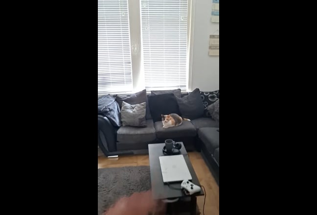 1 room available to house share in my flat. Main Photo