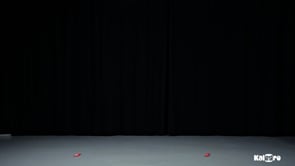 Video 1