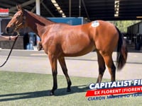Capitalist x Florent F