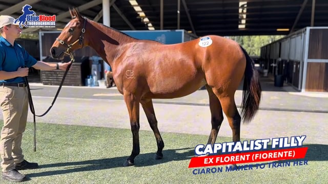 Capitalist x Florent F