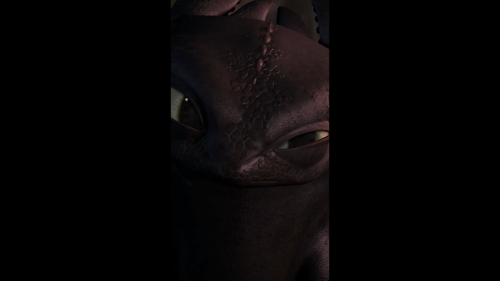 The Connection
