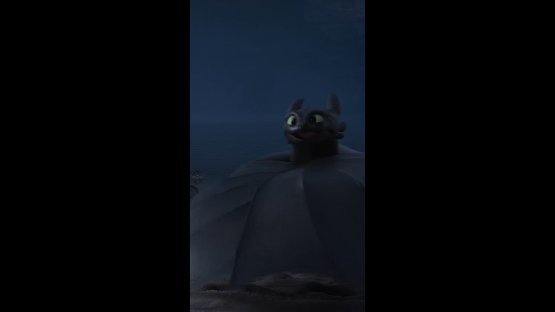 Toothless + Light Fury