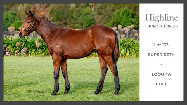 Lot 133