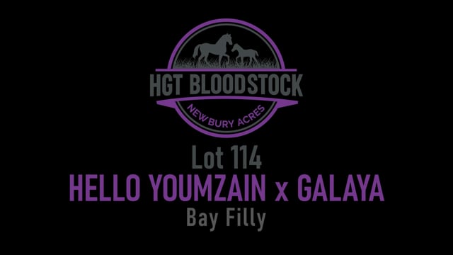 Lot 114