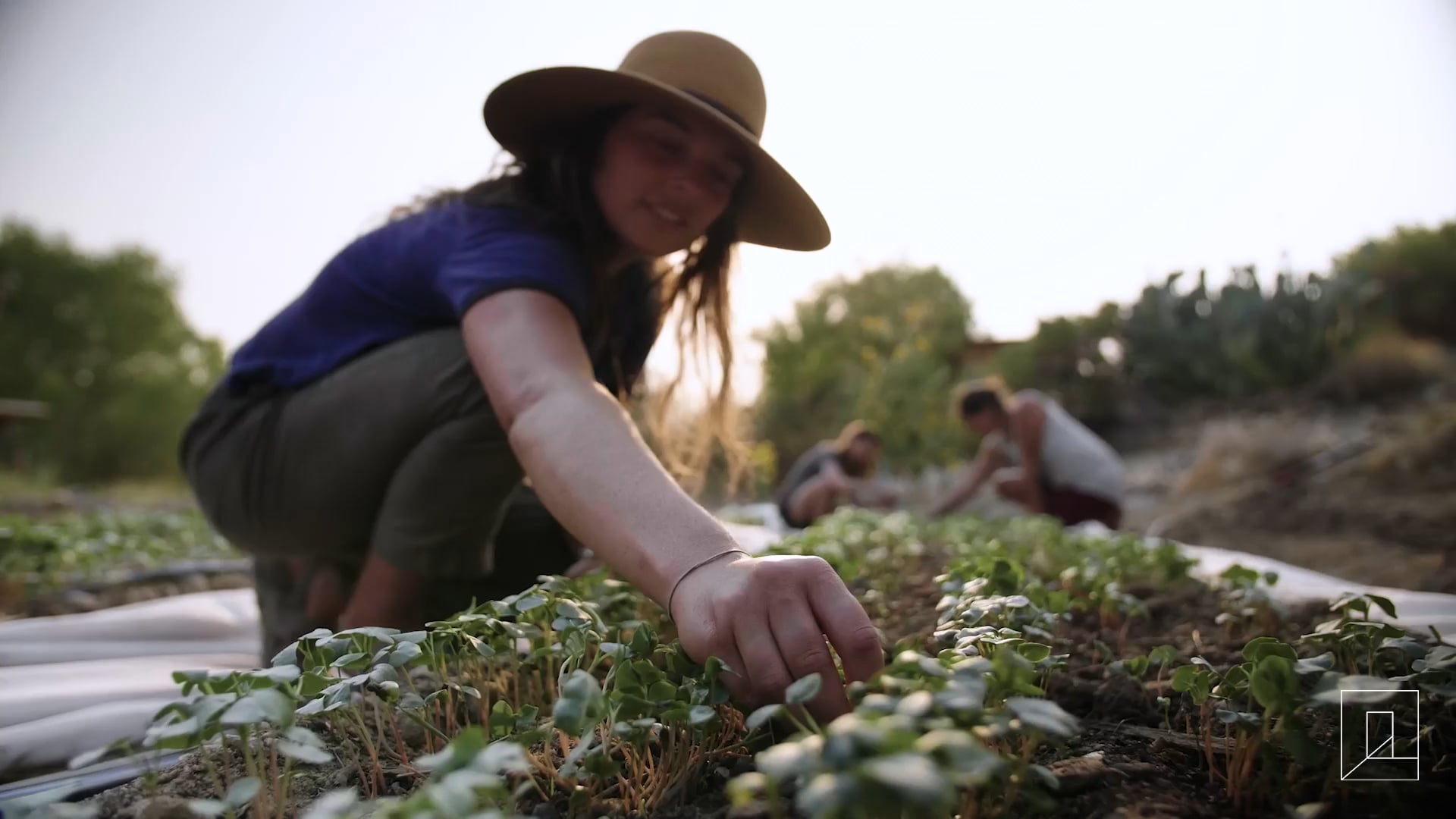 Principles of Permaculture Promo