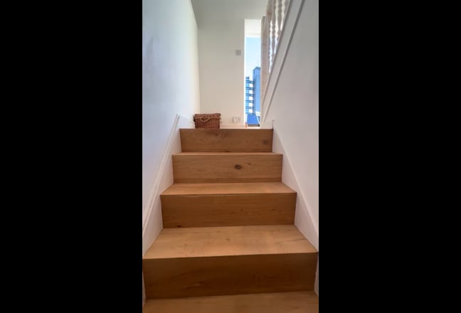 Video 1: 