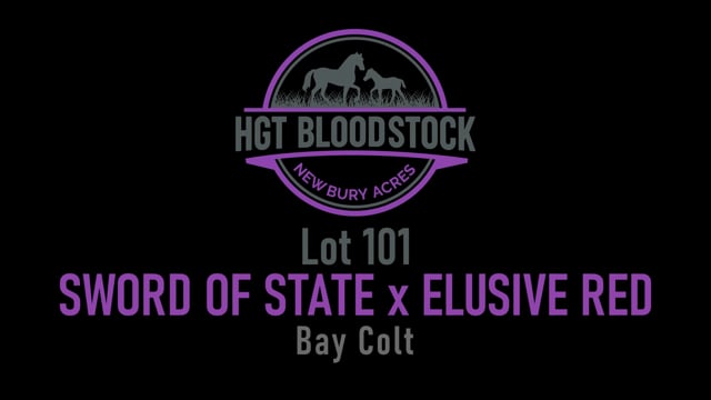 Lot 101
