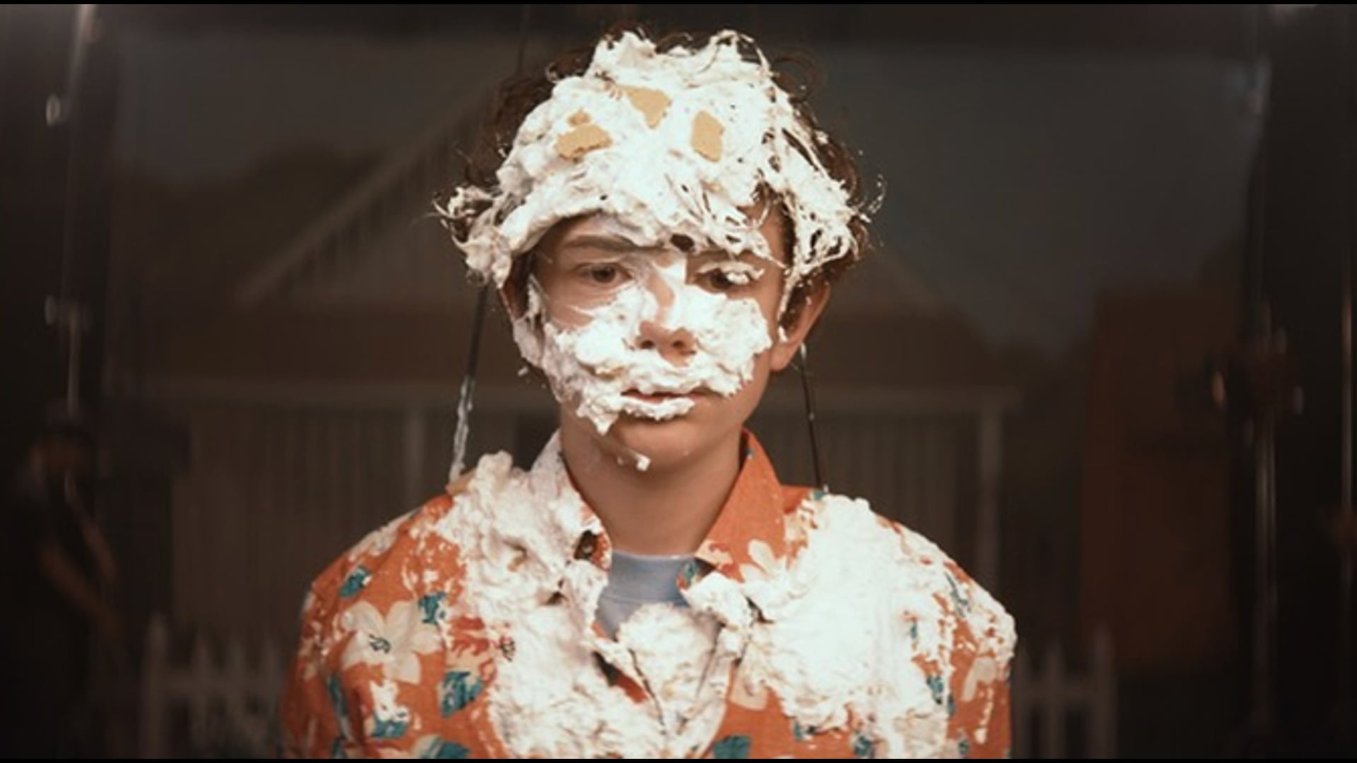 HONEY BOY | Alma Har'el