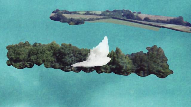 Patrick Wolf - The Falcons thumbnail