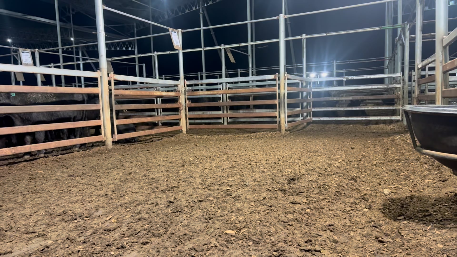 439 · 12 Murray Grey Weaner Steers 334.20kg (Total weight: 4010kg)