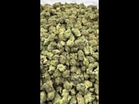 Tahoe OG Smalls