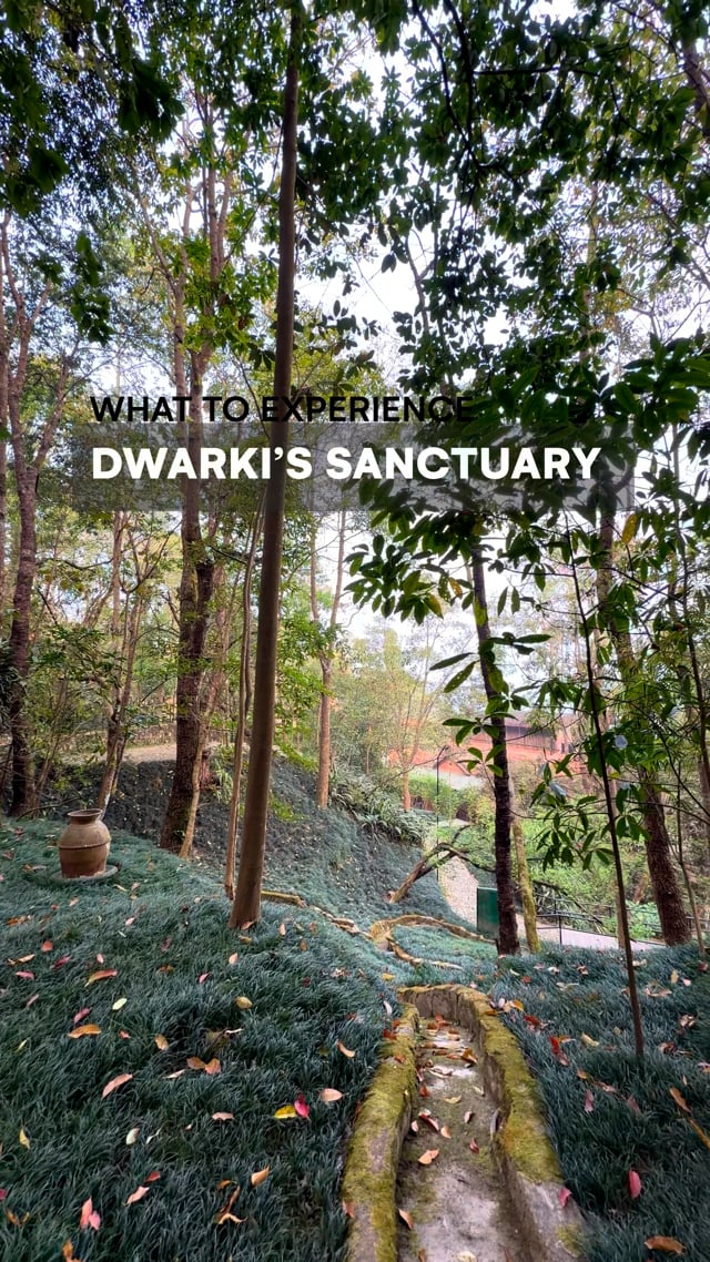 Dwarki’s Sanctuary Experiences