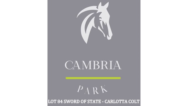 Lot 84