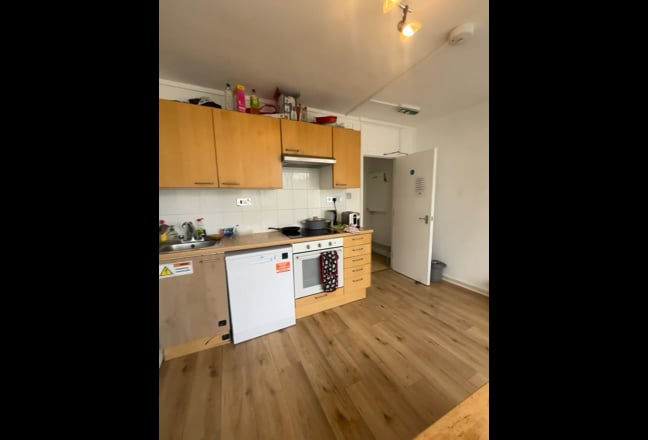 Large Room in Spacious Flat - Roehampton Main Photo