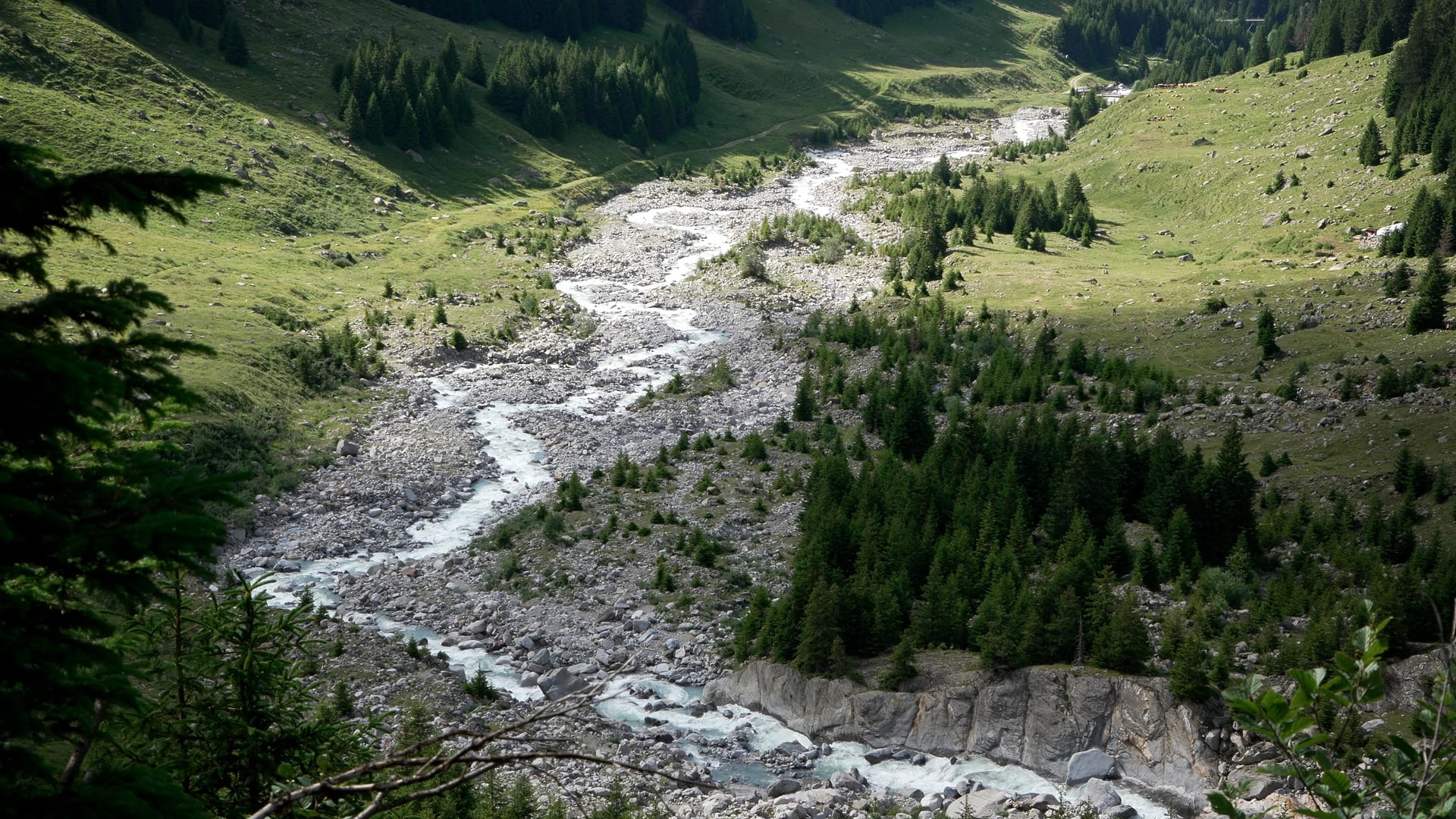 Val Plattas &ndash; Ein wildes Tal im Lauf der Jahreszeiten