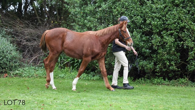 Lot 78