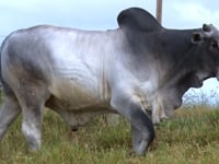 Lote 24