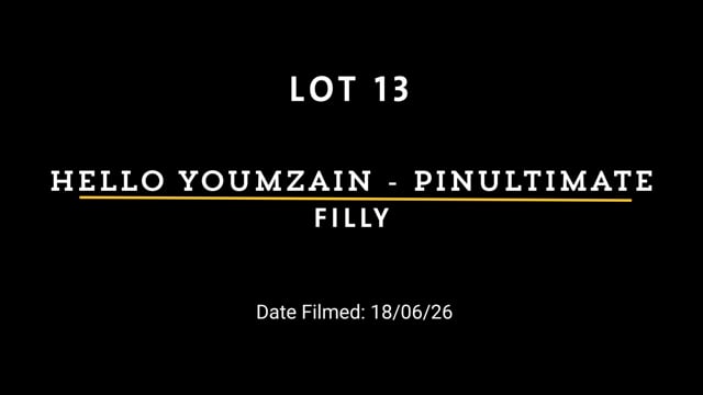 Lot 13