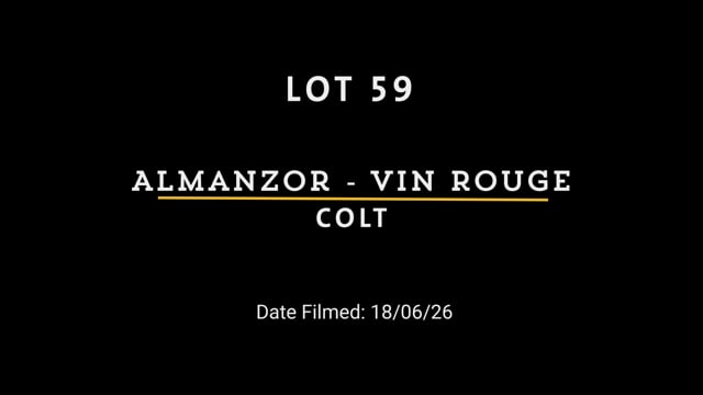 Lot 59