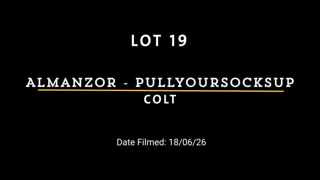 Lot 19